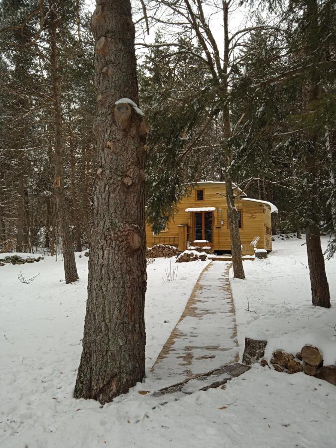 Chalet Cricri Domaine De La Mamounette Champclause ภายนอก รูปภาพ