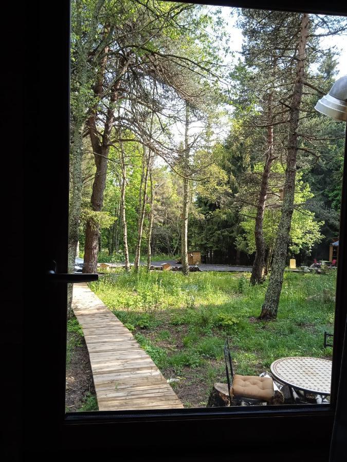 Chalet Cricri Domaine De La Mamounette Champclause ภายนอก รูปภาพ