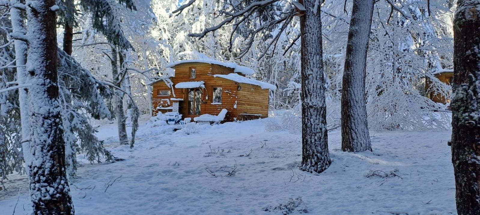 Chalet Cricri Domaine De La Mamounette Champclause ภายนอก รูปภาพ